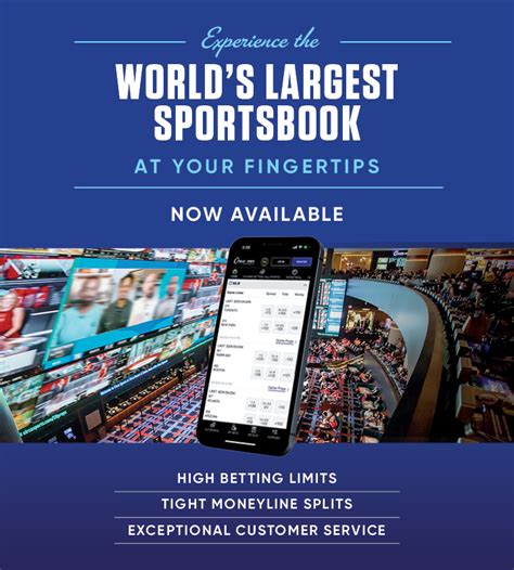 circa sports lines|circa sports betting.